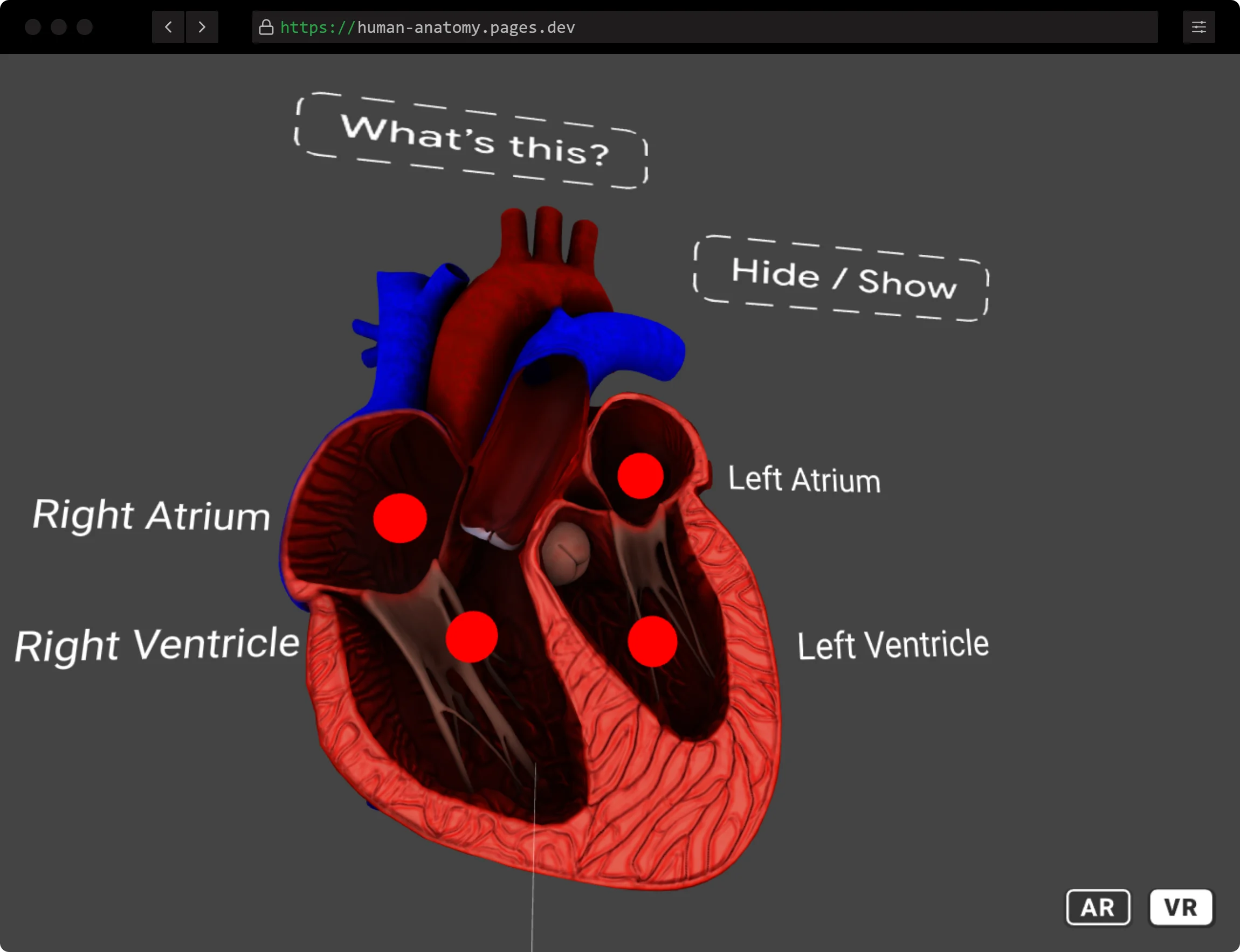 Accessmedicine Content Neck Muscle Anatomy Anatomy Of - vrogue.co